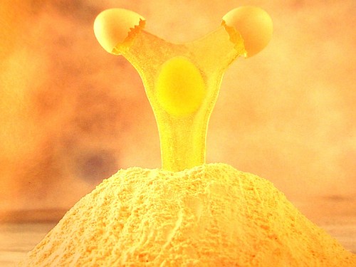 powdered eggs